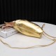 Bottega Veneta Pouch