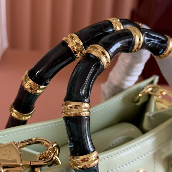 Gucci Diana