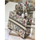 Dior Book Tote