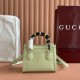 Gucci Diana