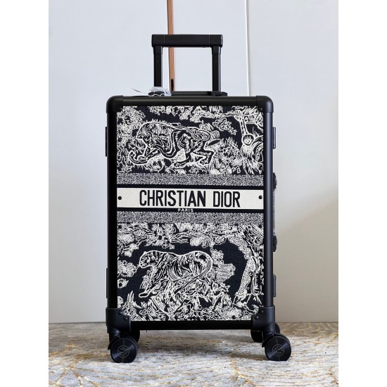 Dior Suitcase