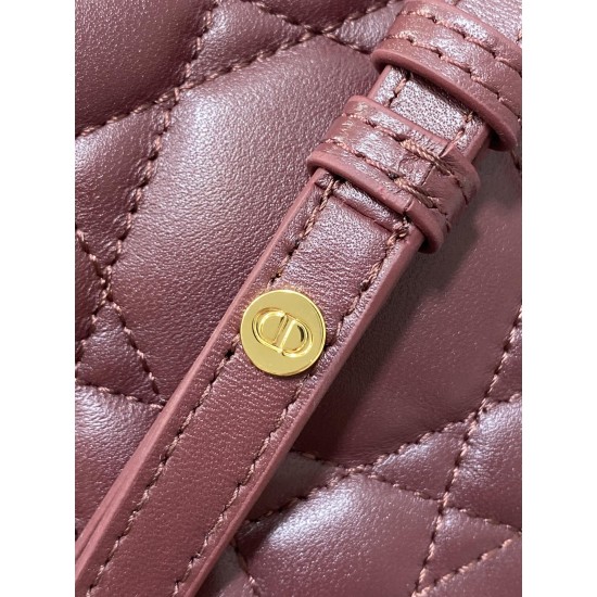 Dior Caro