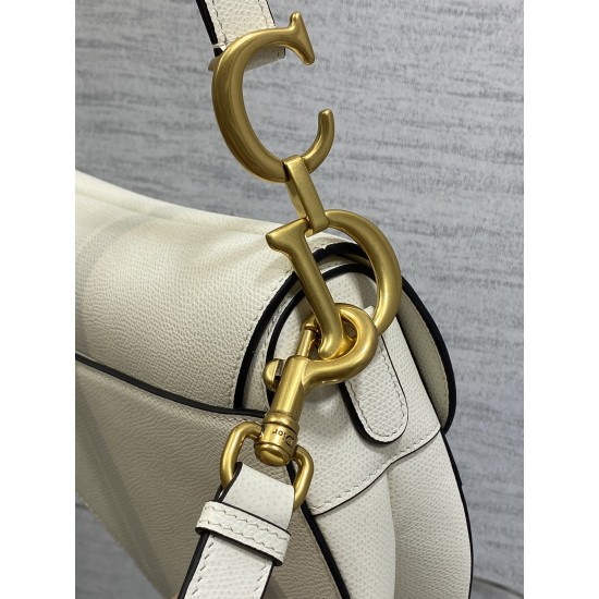 Dior Saddle