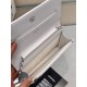 CHANEL WOC