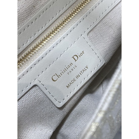 Dior Saddle