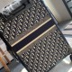 Dior Suitcase