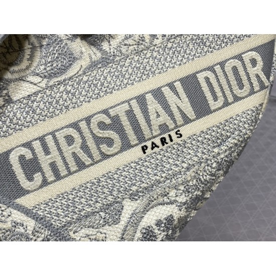 Dior Saddle