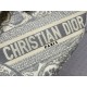 Dior Saddle