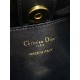 Dior Caro