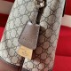 Gucci Ophidia