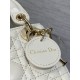 Dior Lady