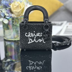 Dior Lady
