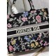 Dior Book Tote
