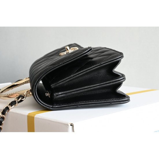 CHANEL WOC
