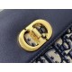 Dior Caro
