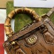 Gucci Diana