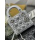 Dior Lady