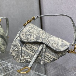 Dior Saddle