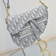 Dior Saddle