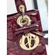 Dior Lady