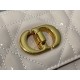 Dior Caro