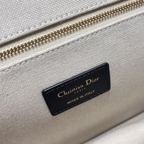 Dior Book Tote
