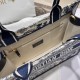 Dior Book Tote