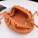Bottega Veneta Pouch