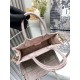 Dior Book Tote