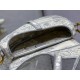 Dior Saddle