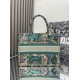 Dior Book Tote