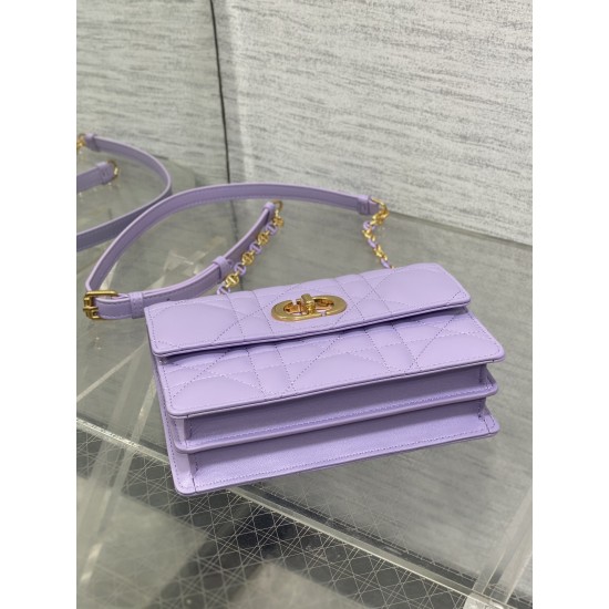 Dior Caro