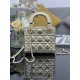 Dior Lady