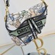 Dior Saddle