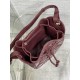 Dior Caro