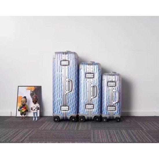 Dior Suitcase