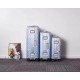 Dior Suitcase