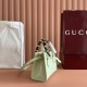 Gucci Diana
