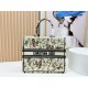 Dior Book Tote