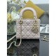 Dior Lady