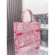 Dior Book Tote