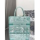 Dior Book Tote