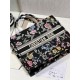 Dior Book Tote