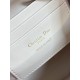 Dior Caro