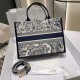 Dior Book Tote