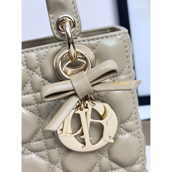Dior Lady