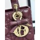 Dior Lady