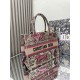 Dior Book Tote