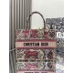 Dior Book Tote