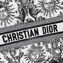 Dior Book Tote